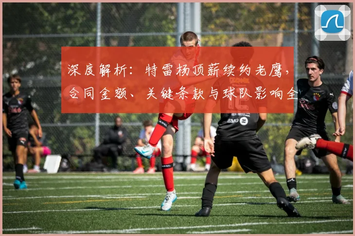 深度解析：特雷杨顶薪续约老鹰，合同金额、关键条款与球队影响全知道