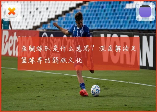 鱼腩球队是什么意思？深度解读足篮球界的弱旅文化