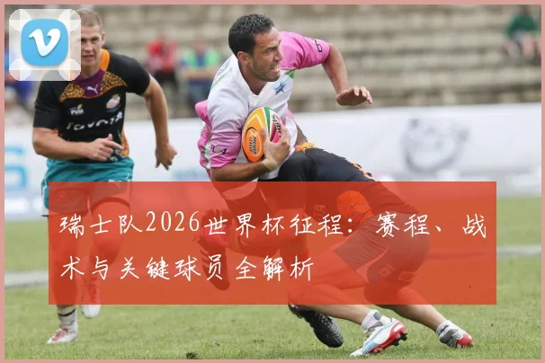 瑞士队2026世界杯征程：赛程、战术与关键球员全解析